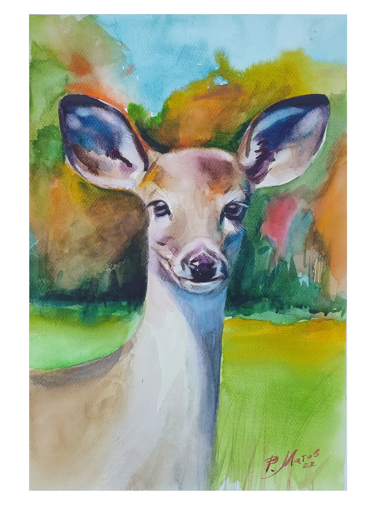 Doe